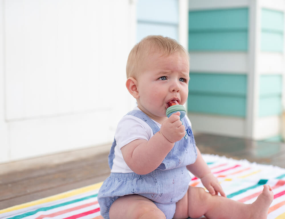 Silicone Fresh Food Feeder - Cerulean &amp; Sage