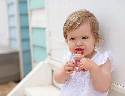 Silicone Fresh Food Feeder - Dusty Rose &amp; Sand